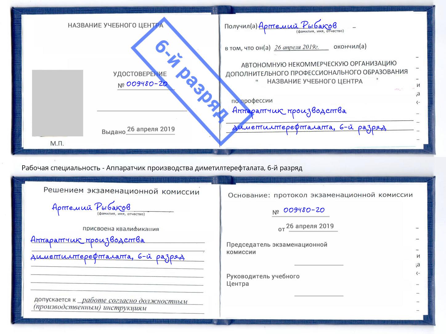 корочка 6-й разряд Аппаратчик производства диметилтерефталата Уфа